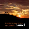 About Camel Song