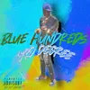 Blue Hundreds