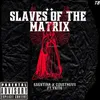About Slaves Of The Matrix Song