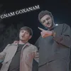 About Gnam Goxanam Song