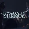 About Bidasoa (feat. Amorante, Euskadiko Orkestra) Song