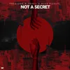 About Not A Secret Song