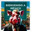 About Bienvenido a México Song