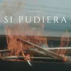 About Si Pudiera Song