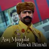 About Bilmədi Bilmədi Song