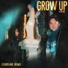 About Grow Up Song