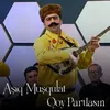 About Qoy Partlasın Song