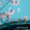 Luna guajira