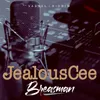About Jealous Cee Song