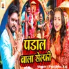 About Pandal Wala Selphy Song