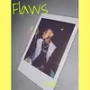 About Flaws Song