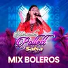 Mix Boleros: Tinta Roja / Cuéntame como te va / Ficha Marcada / Bolero Rockolero