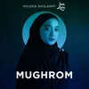 About Mughrom Song