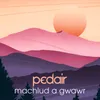 About Machlud a Gwawr Song