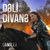 Dəli Divanə