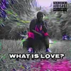 About What Is Love ? Song
