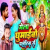 About Mela Ghumaibo Paltina Se Song