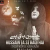 About Hussain A.s Baqi Hai Song