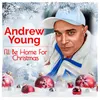 About I'll Be Home Home For Christmas Song