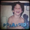 About Polaroid Song