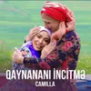 Qaynananı İncitmə