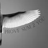 Prove Sum 2 You