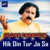 About Hik Din Tur Ja Sa Song