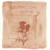 Golden Light & Thistle