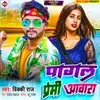 About Pagal Premi Aawara Song