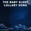 About The Baby Sleep Lullaby Song Song