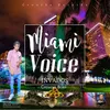 About Miami Voice Song