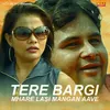 About Tere Bargi Mhare Lasi Mangan Aave Song