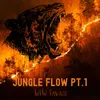About Jungle Flow Pt.1 Song