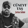 About Çerkes Xatûnê Song