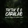 About TikTok é o Caralho Song