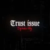 About Trust Issue Song