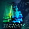 About Techboy Song