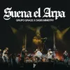 Suena El Arpa