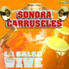 About LA SALSA VIVE Song