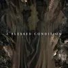 About A Blessed Condition Song