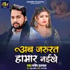 About Ab Jarurat Hamar Naikhe Song