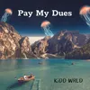 About Pay My Dues Song