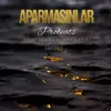 About Aparmasınlar Song