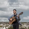 About Sueño de cometa Song