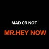 About Mad Or Not Song