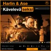 About Kävelevä seksi Song