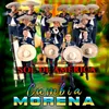 About Cumbia Morena Song