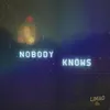 About Nobody Knows Song