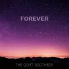 About Forever Song