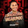 About Coraçãozinho Vagabundo Song